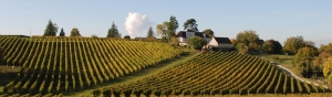 Photo Route des vins de Loire