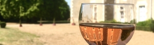 Photo Route des vins de Touraine
