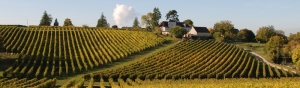 Photo Route des vins d'Anjou